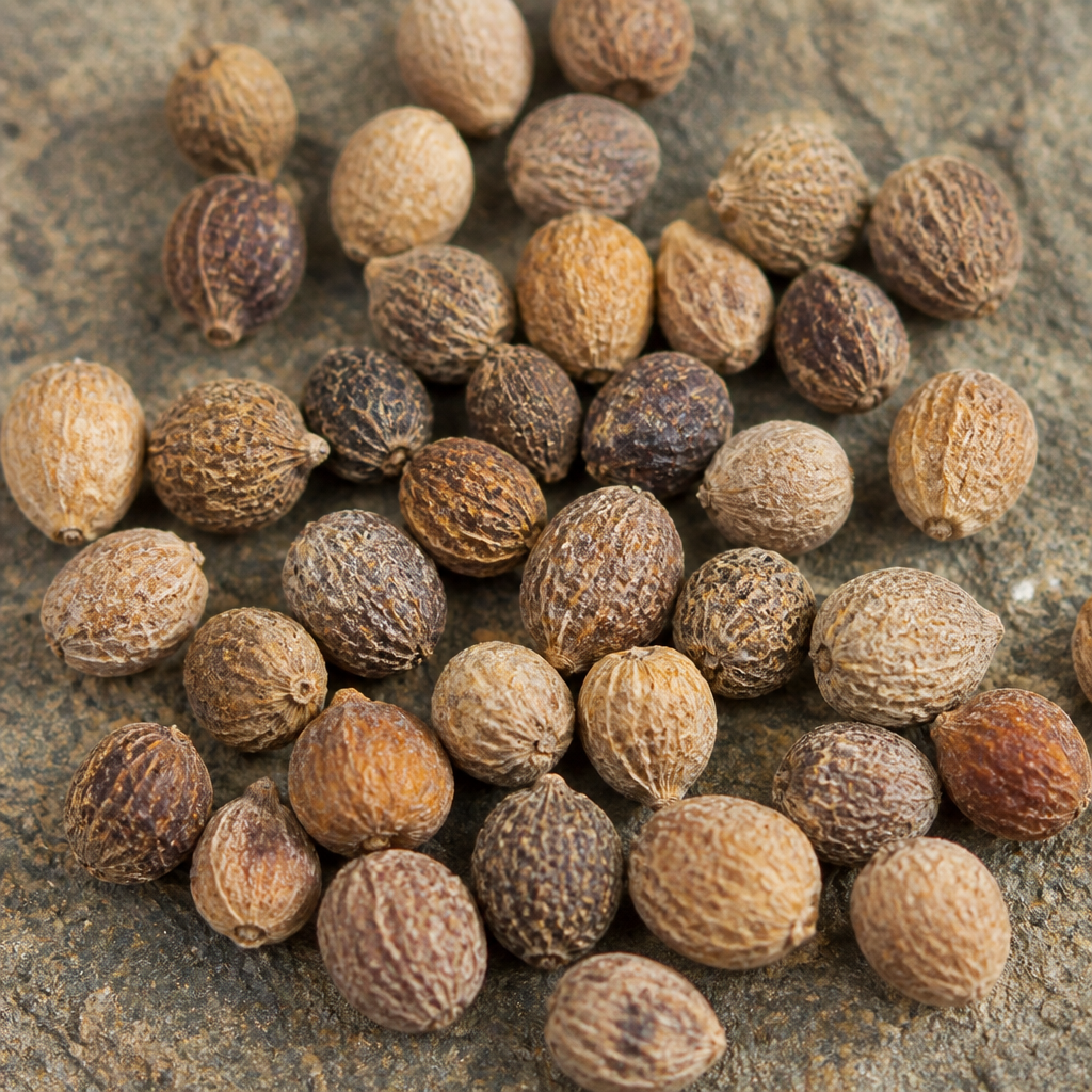 Ashwagandha Seed