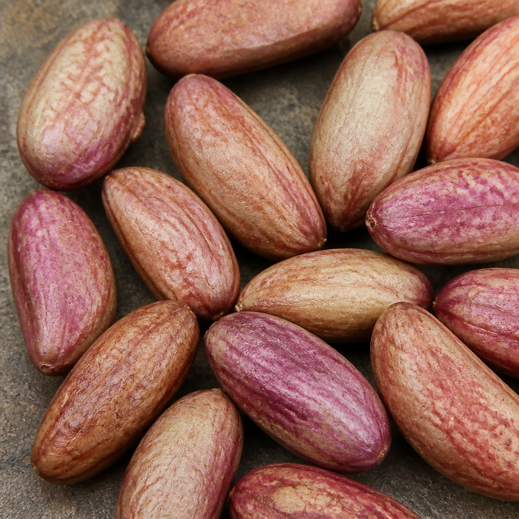 Jamun Seed