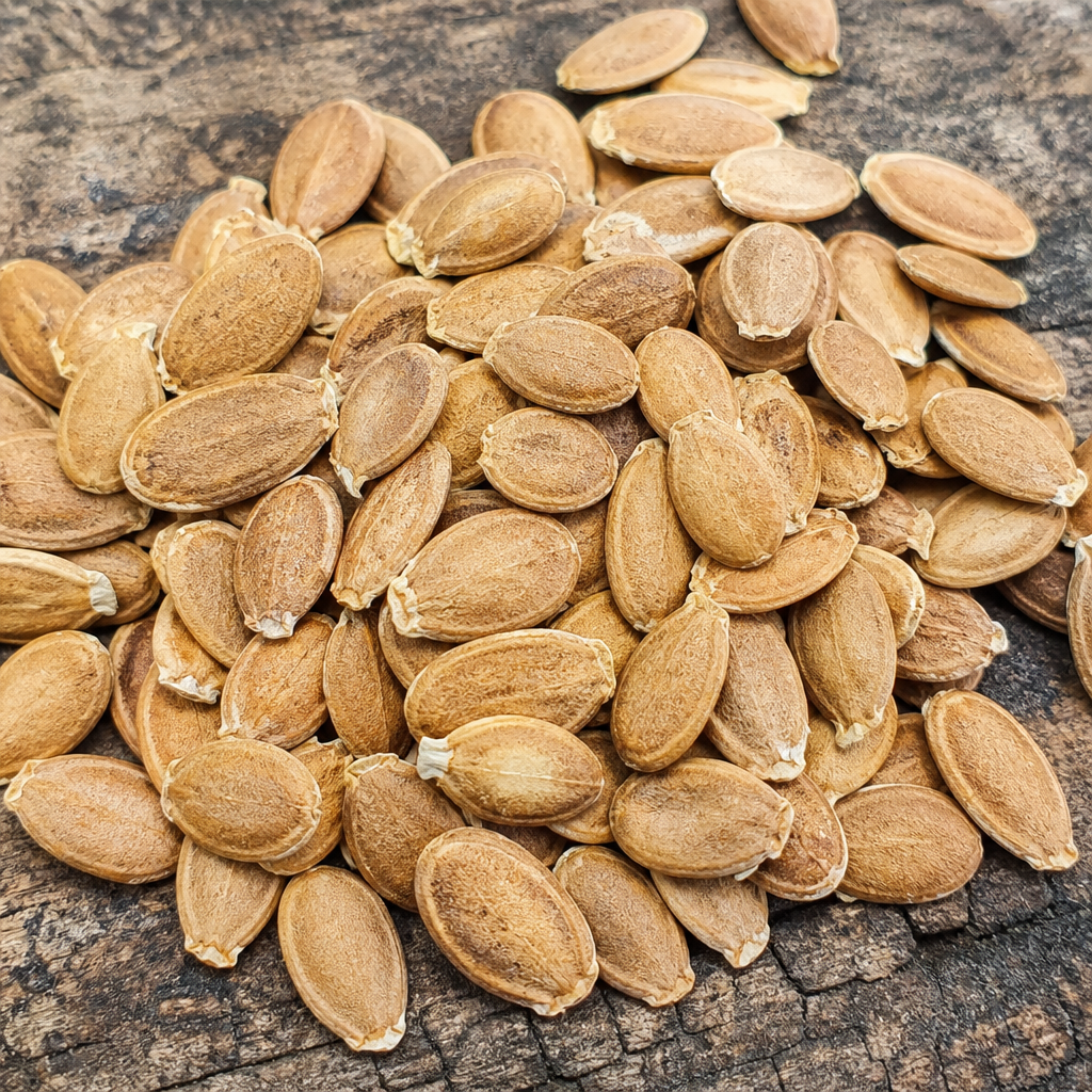 Ash Gourd Seed
