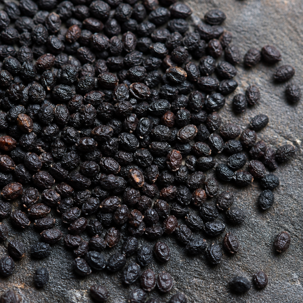 Dragon Fruit Seed