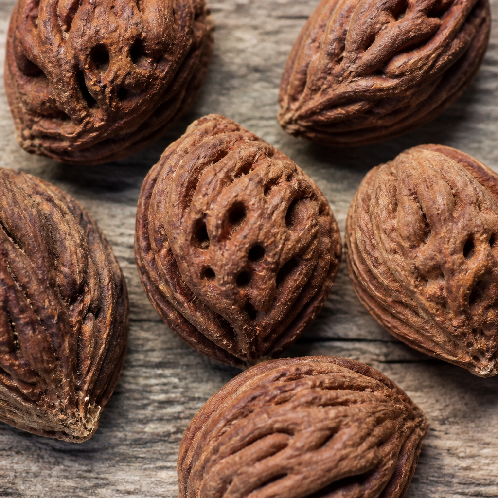 Peach Seed for planting