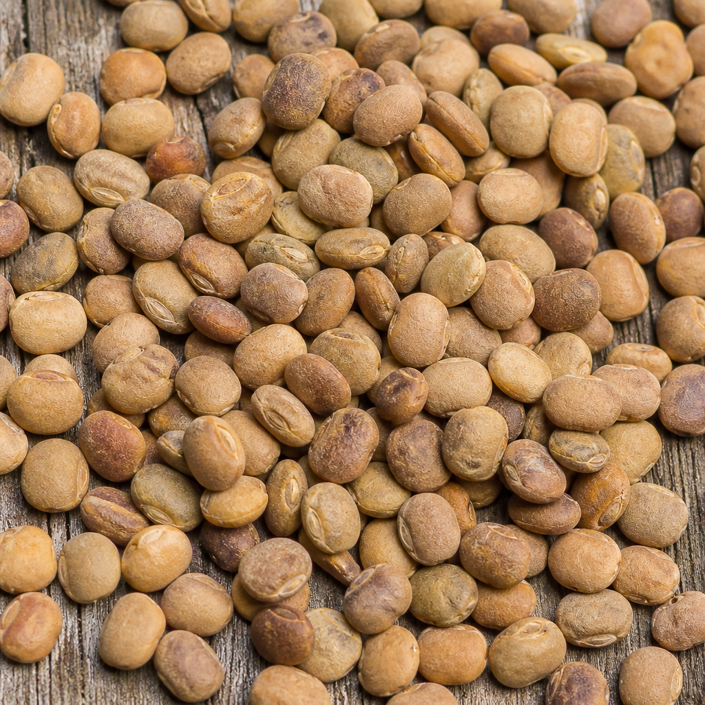 Cluster Bean Seed