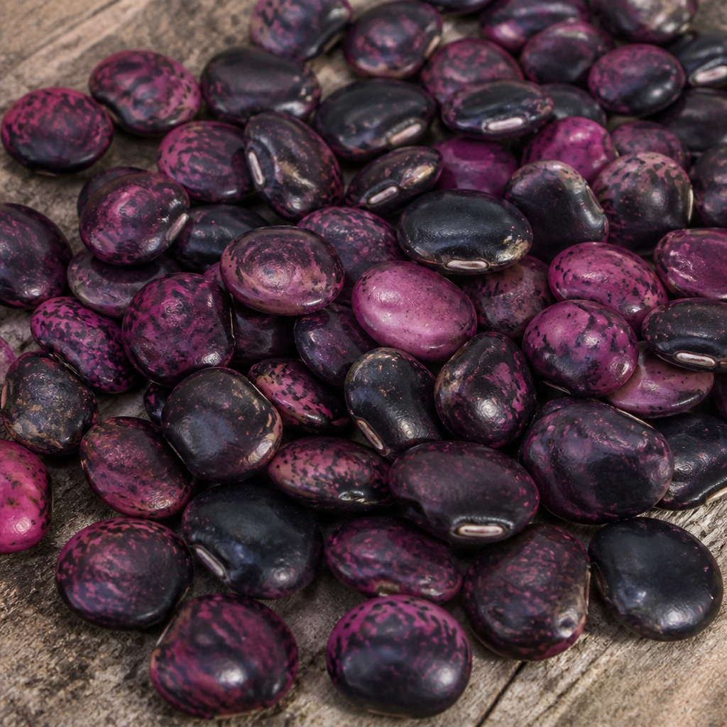 Hyacinth Bean Seed