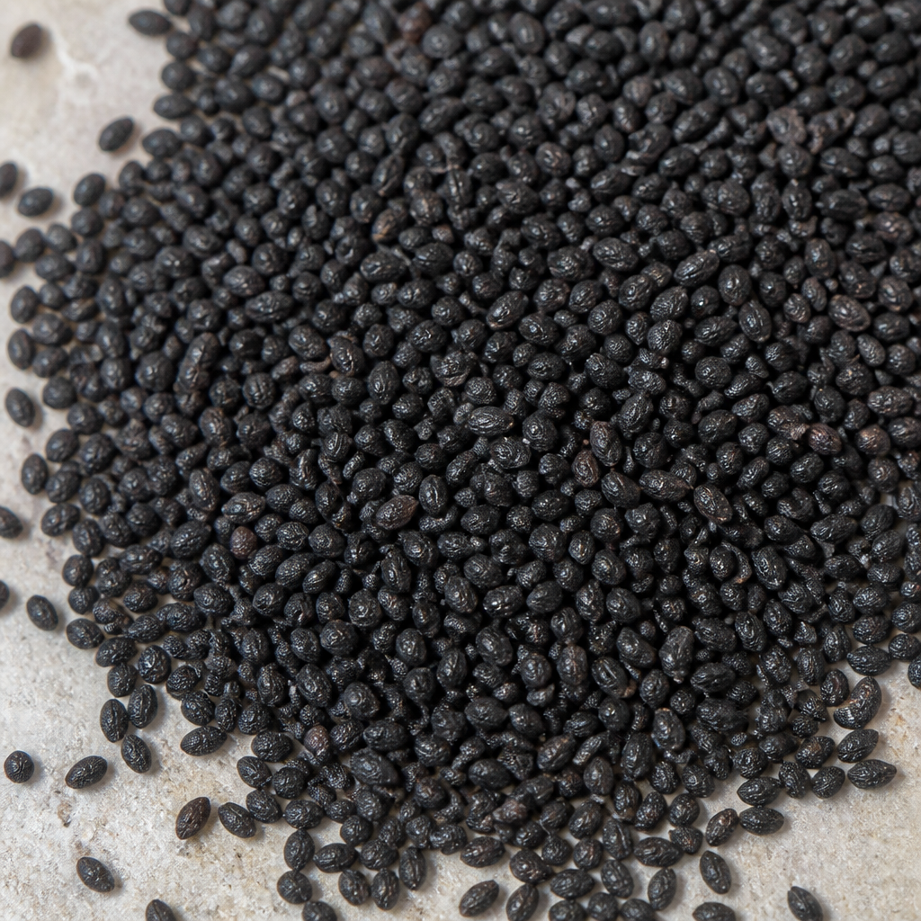 Basil Seed