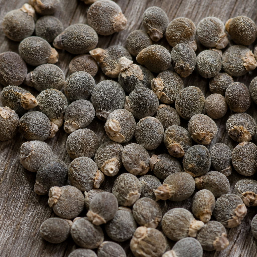 Hibiscus Seed